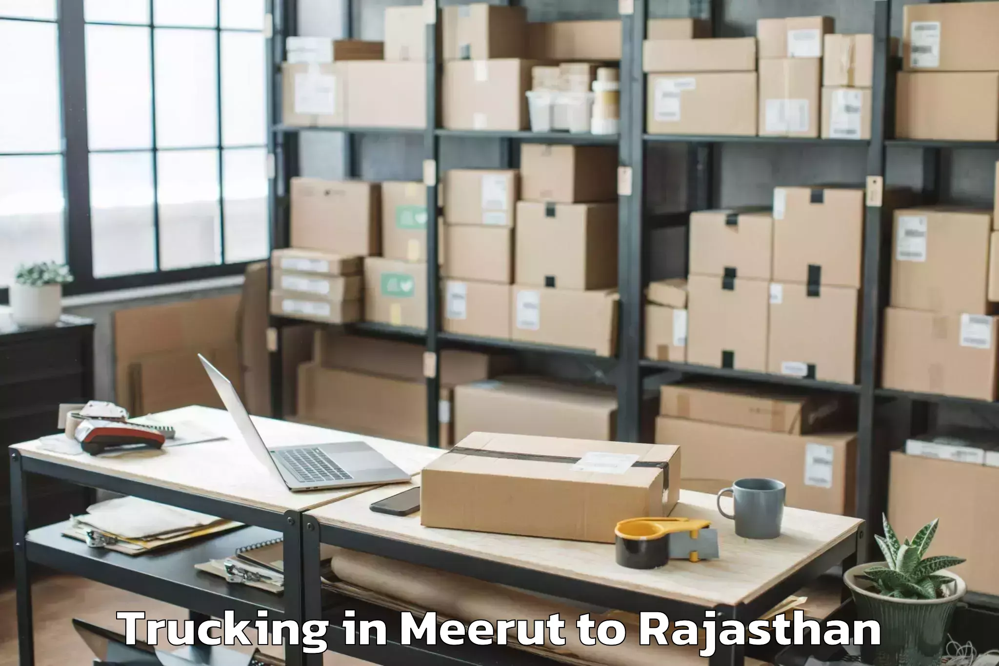 Reliable Meerut to Jecrc University Jaipur Trucking